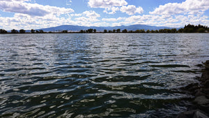 Pearl Outdoors | Fine Quality Designer Pistol Range Bags